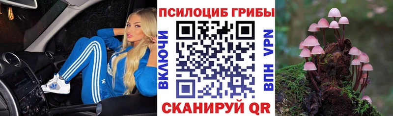 где продают наркотики  Агрыз  Галлюциногенные грибы Magic Shrooms 